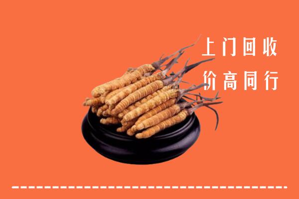 高价求购：雅安汉源县回收散虫草