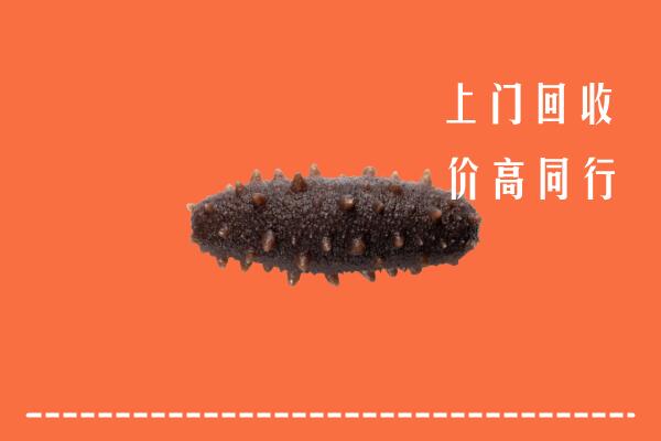高价求购：雅安汉源县回收海参