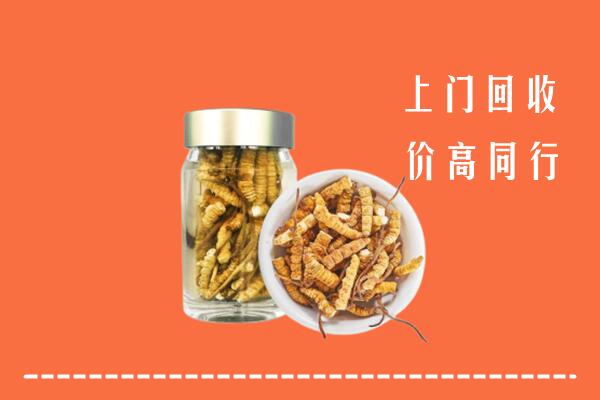 雅安汉源县回收冬虫夏草